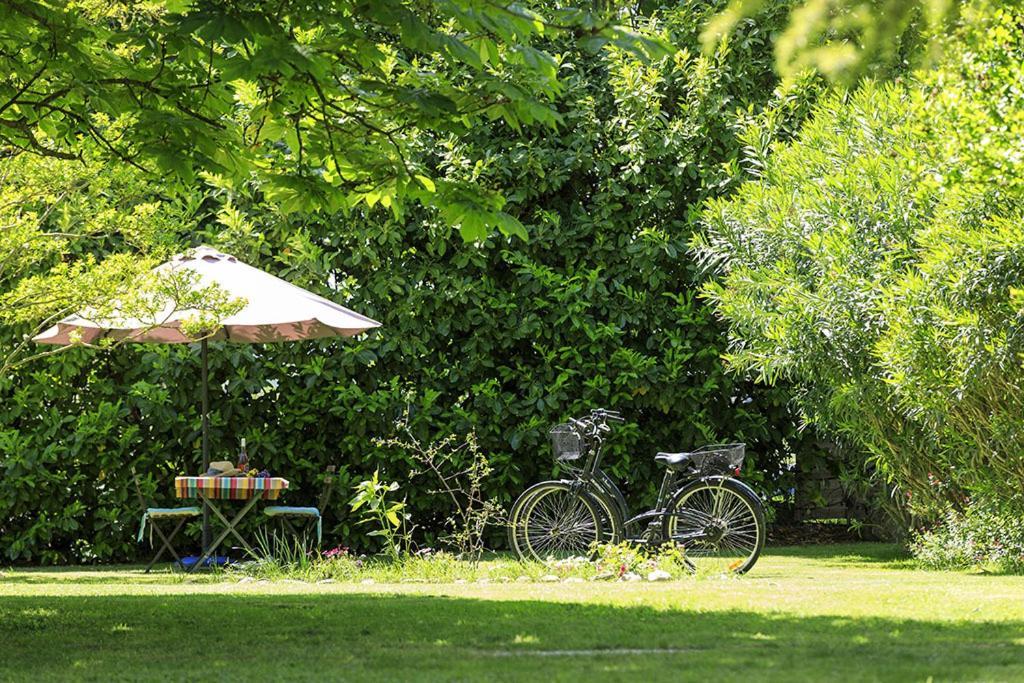 Les Gites Du Domaine De Rhodes Avignon Buitenkant foto