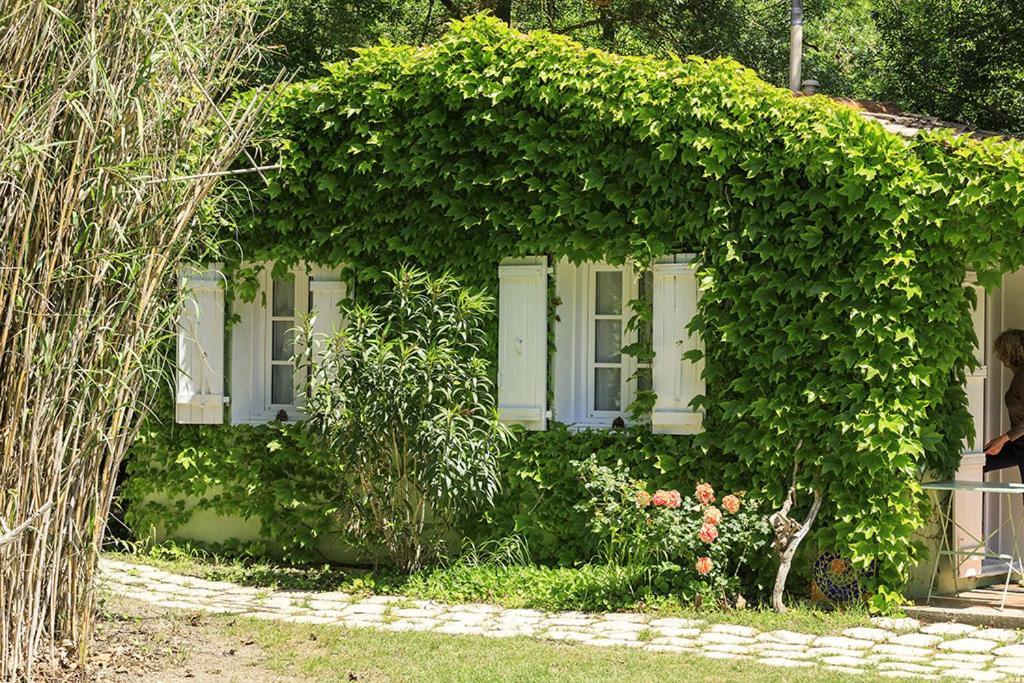 Les Gites Du Domaine De Rhodes Avignon Kamer foto