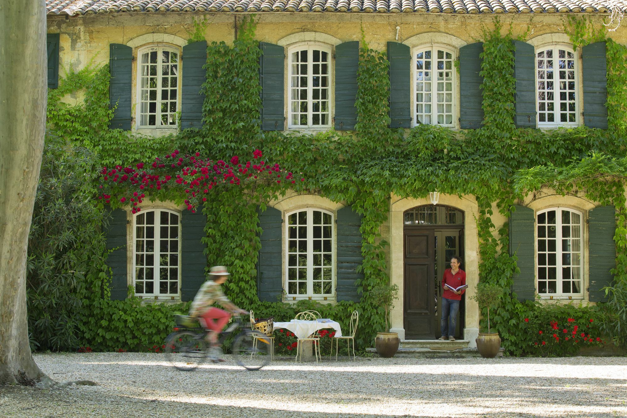 Les Gites Du Domaine De Rhodes Avignon Buitenkant foto